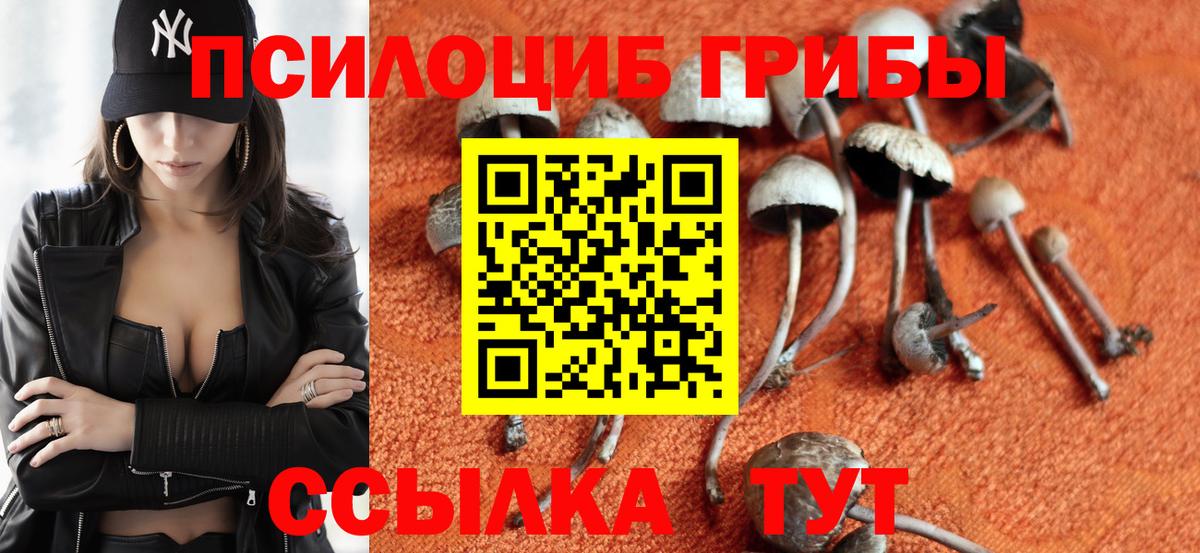 где можно купить наркотик  Вход с VPN  Топки  Псилоцибиновые грибы Cubensis 